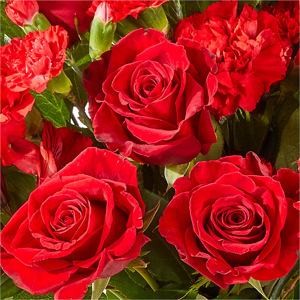 The Heartstrings Bouquet – MCKNIGHT'S FLOWERSHOPPE INC., Peterborough ON