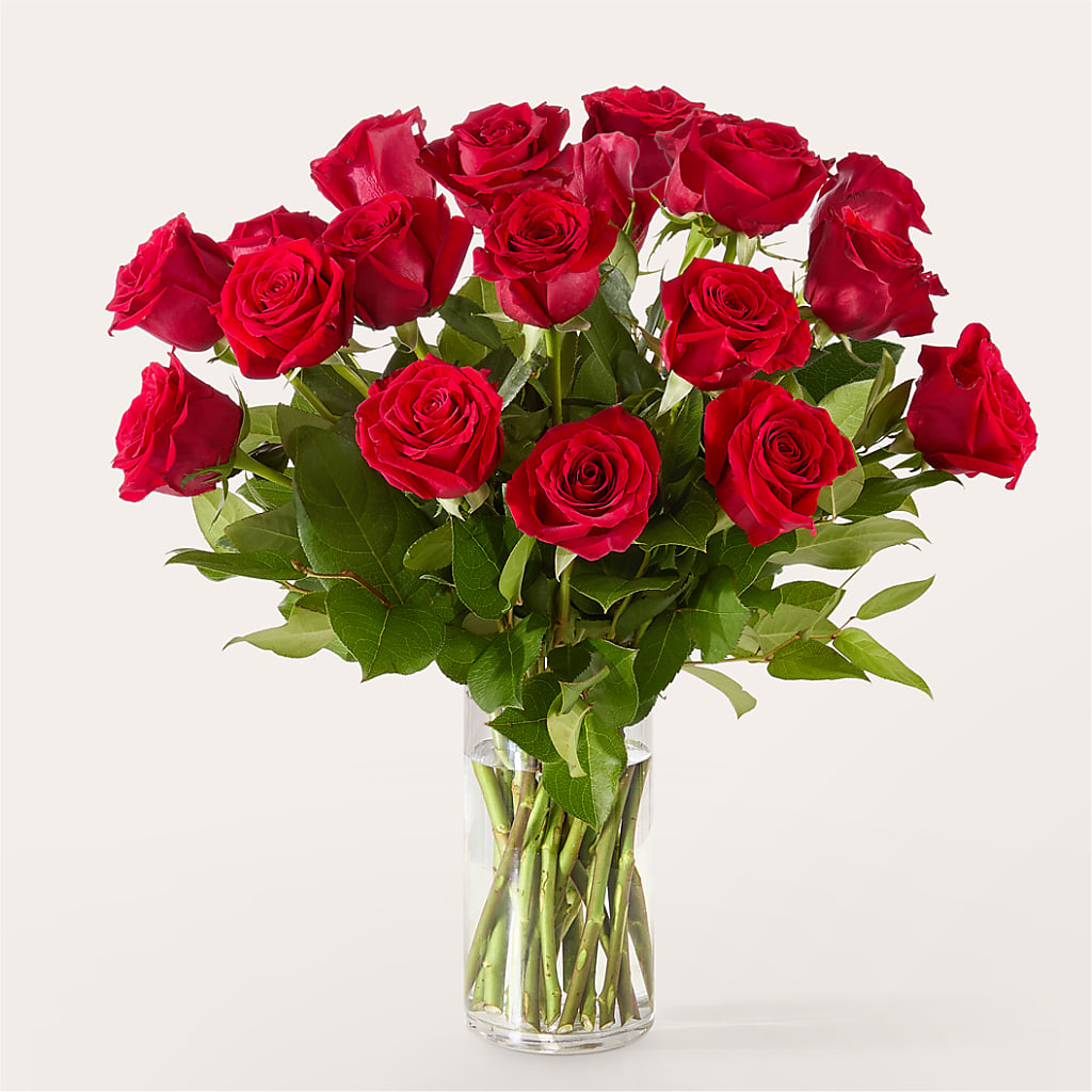 The One Red Rose Bouquet – MCKNIGHT'S FLOWERSHOPPE INC., Peterborough ON