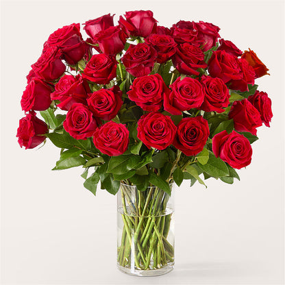 The One Red Rose Bouquet – MCKNIGHT'S FLOWERSHOPPE INC., Peterborough ON