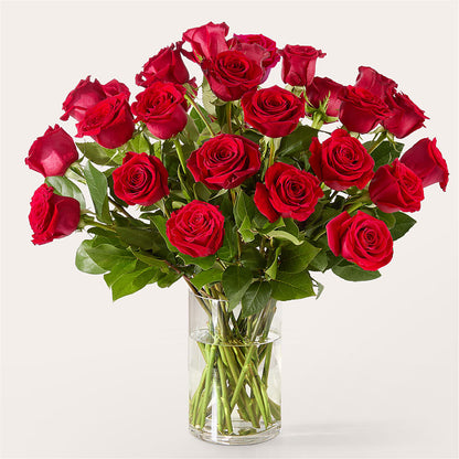 The One Red Rose Bouquet – MCKNIGHT'S FLOWERSHOPPE INC., Peterborough ON