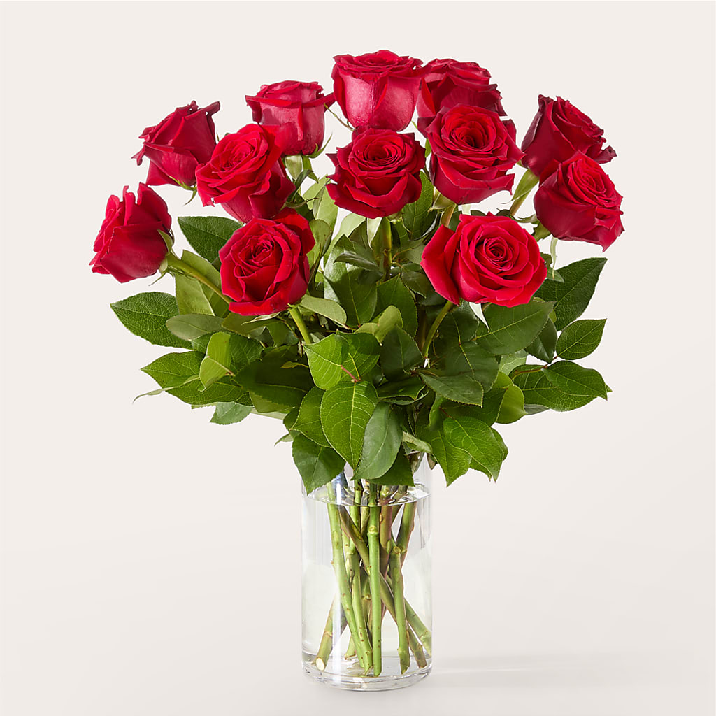 The One Red Rose Bouquet – MCKNIGHT'S FLOWERSHOPPE INC., Peterborough ON
