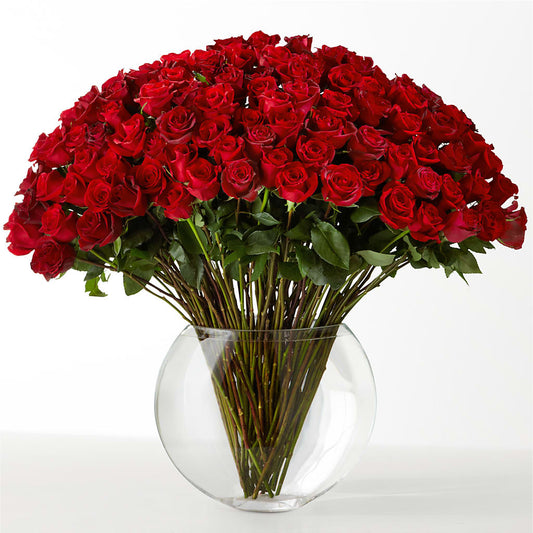 The Idealist – MCKNIGHT'S FLOWERSHOPPE INC., Peterborough ON