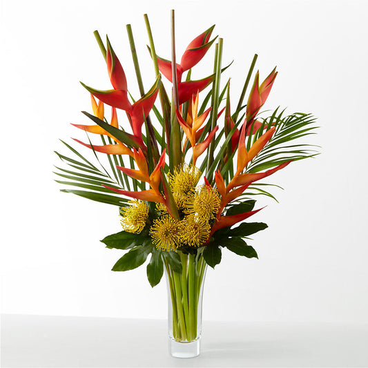 The Drama – MCKNIGHT'S FLOWERSHOPPE INC., Peterborough ON