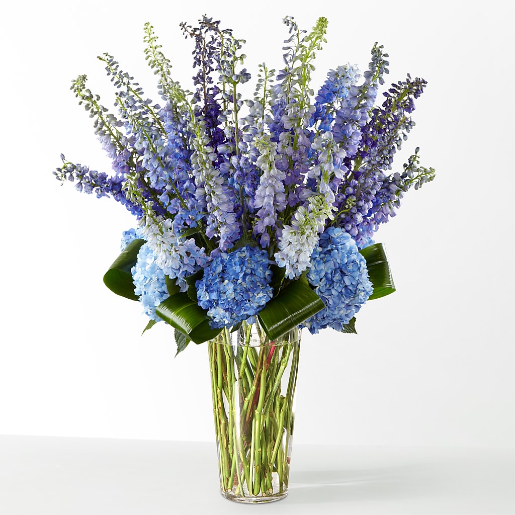 The Editorial – MCKNIGHT'S FLOWERSHOPPE INC., Peterborough ON